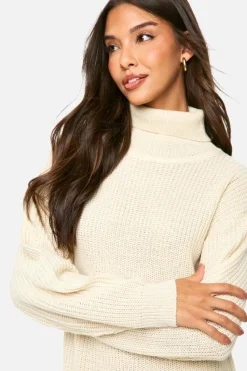 Jumper Dresses|Jumper Dresses*boohoo Basic Roll Neck Jumper Dress stone
