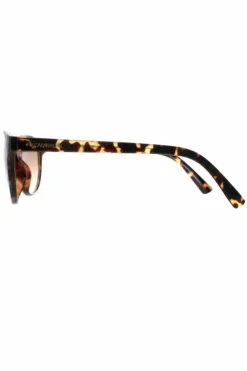 Sunglasses*CALVIN KLEIN Cat Eye Tortoise Gradient CK20517S Brown