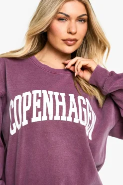 Sweatshirts|Hoodies & Sweatshirts*boohoo Copenhagen Slogan Overdyed Oversized Sweatshirt burgundy