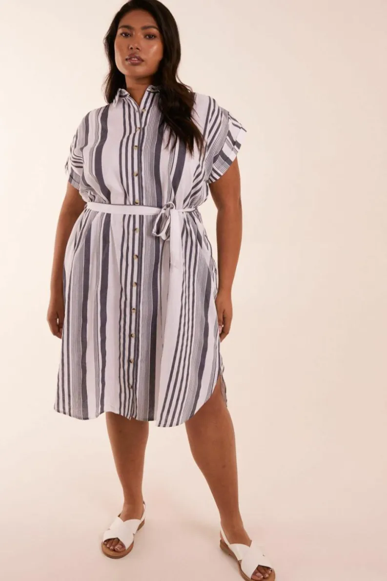 Shirt Dresses*Blue Vanilla Curve Stripe Button Front Shirt Dress White