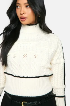 Jumpers|Jumpers & Cardigans*boohoo Petite Cable Knit Contrast Detail High Neck Jumper cream