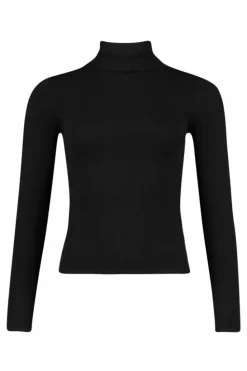 Jumpers|Knitwear*boohoo Petite Fine Knit Roll Neck Jumper black