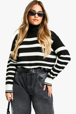 Jumpers*boohoo Petite Stripe Roll Neck Jumper black
