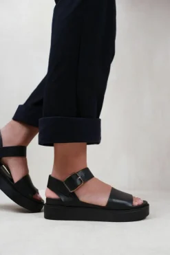 Sandals*Where's That From Phoenix' Extra Wide Fit Classic Flat Sandals With Strap And Buckle Detail Black