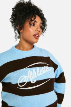 Jumpers*boohoo Plus Athletic Embroidered Oversized Knitted Sweat baby blue