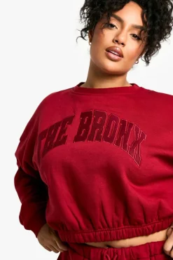 Sweatshirts|Hoodies & Sweatshirts*boohoo Plus Bronx Applique Elasticated Hem Sweatshirt burgundy
