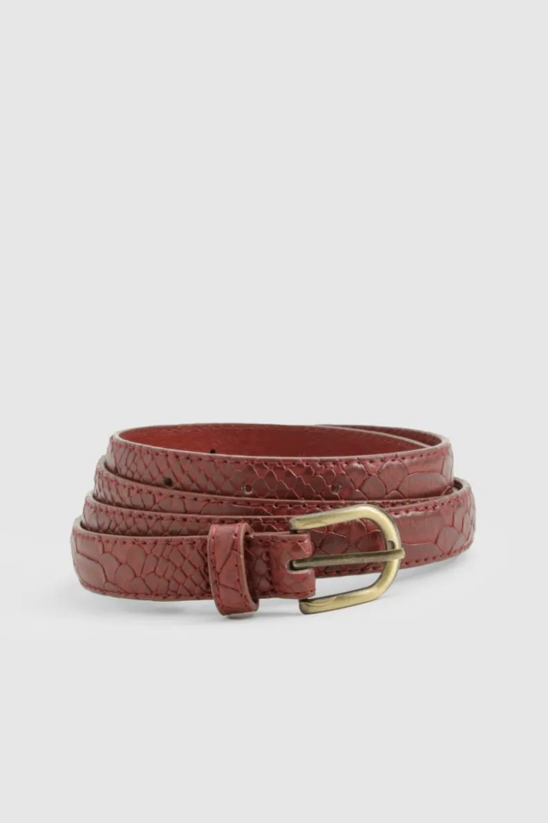 Belts*boohoo PLUS CROC SKINNY BELT berry