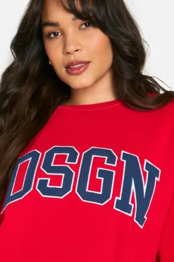 Sweatshirts|Dsgn Studio*boohoo Plus DSGN Applique Sweatshirt red