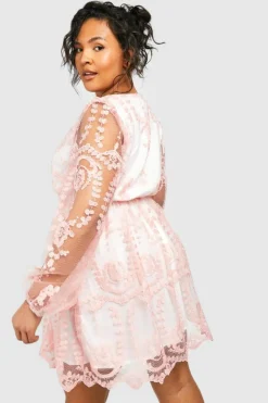 A Line Dresses*boohoo Plus Lace Plunge Skater Dress blush