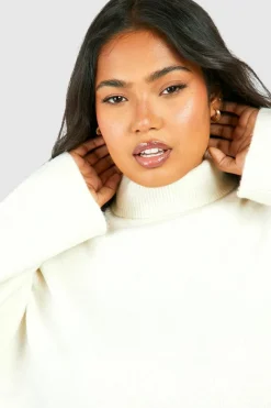 Jumpers|Knitwear*boohoo Plus Soft Knit Roll Neck Jumper stone