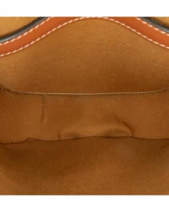 Cross-Body Bags*Celine Preloved Triomphe Canvas Crossbody Bag Brown