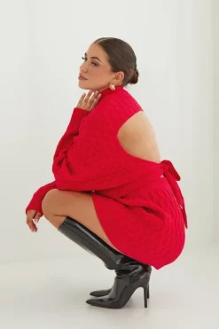 Jumpers|Jumpers & Cardigans*boohoo Premium Knit High Neck Open Back Jumper red