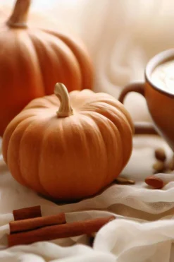 Candles & Diffusers|Candles*CAMPSIE Candles Pumpkin Spice Wax Melt Duo White