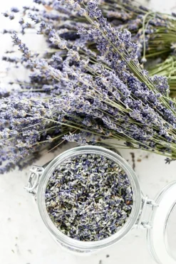 Candles & Diffusers|Candles*CAMPSIE Candles Relaxing Lavender Wax Melt Duo White