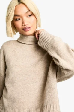 Jumpers*boohoo Roll Neck Boxy Jumper stone