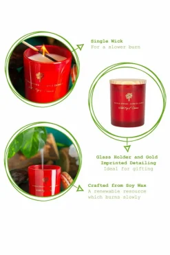 Candles & Diffusers|Candles*Nicola Spring Soy Wax Scented Candle - 130g - Wild Fig & Cassis Red