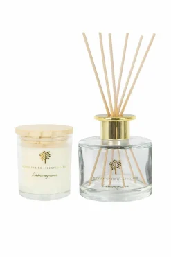 Candles & Diffusers|Candles*Nicola Spring Soy Wax Scented Candle & Reed Diffuser Set - 130g - Lemongrass Cream