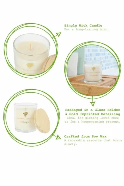 Candles & Diffusers|Candles*Nicola Spring Soy Wax Scented Candle & Reed Diffuser Set - 130g - Lemongrass Cream