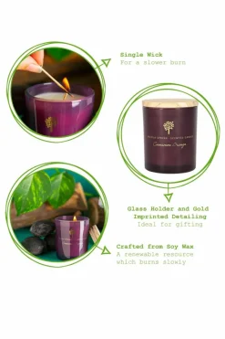 Candles & Diffusers|Candles*Nicola Spring Soy Wax Scented Candle 130g Cinnamon & Orange Purple