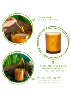 Candles & Diffusers|Candles*Nicola Spring Soy Wax Scented Candles - 130g - Sandalwood & Jasmine - Pack of 3 Orange