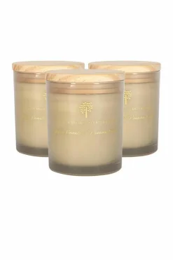 Candles & Diffusers|Candles*Nicola Spring Soy Wax Scented Candles - 130g - Green Pomelo & Passion Fruit - Pack of 3 Grey