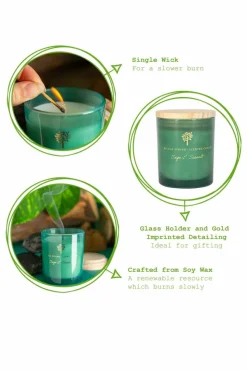 Candles & Diffusers|Candles*Nicola Spring Soy Wax Scented Candles - 130g - Sage & Seasalt - Pack of 3 Green