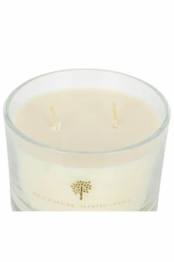 Candles & Diffusers|Candles*Nicola Spring Soy Wax Scented Candles - 350g - Lemongrass - Pack of 3 Cream