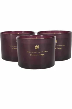 Candles & Diffusers|Candles*Nicola Spring Soy Wax Scented Candles 350g Cinnamon & Orange Pack of 3 Purple