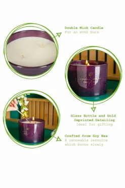 Candles & Diffusers|Candles*Nicola Spring Soy Wax Scented Candles 350g Cinnamon & Orange Pack of 3 Purple