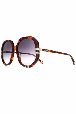 Sunglasses*Chloe Square Tortoise Grey Gradient CH0105S Brown