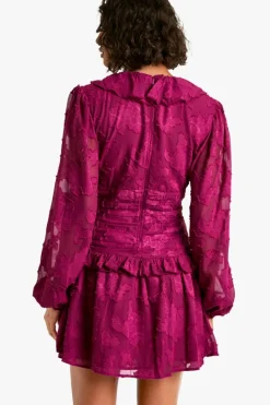 Skater Dresses|Mini Dresses*boohoo Tall Floral Burnout Ruffle Plunge Ruched Skater Dress plum